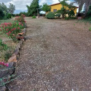  Alloggio per agriturismo Agriturismo I 13 Pini Di Putzu Anna Maria